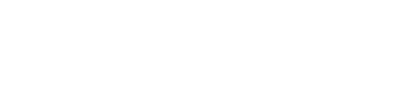 Quadralism - A Consciousness Theory